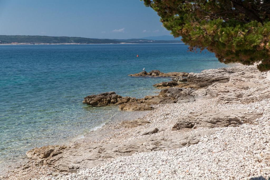 Apartman Ines